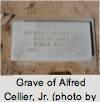 Alfred CELLIER